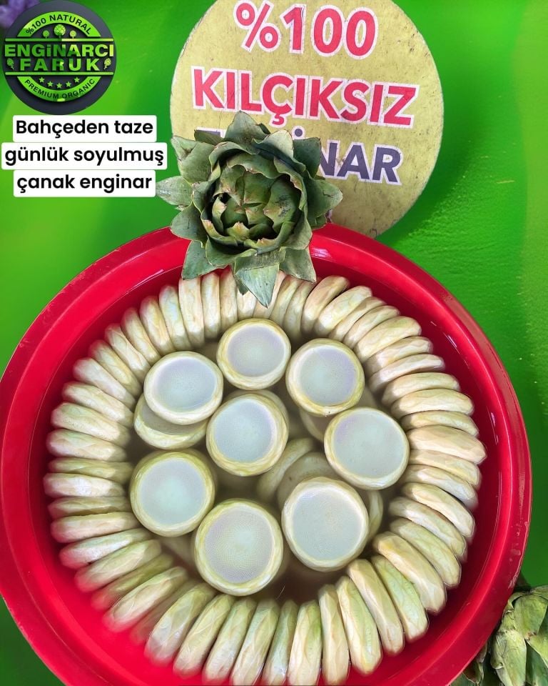 Taze Çanak Enginar ( Günlük soyum)