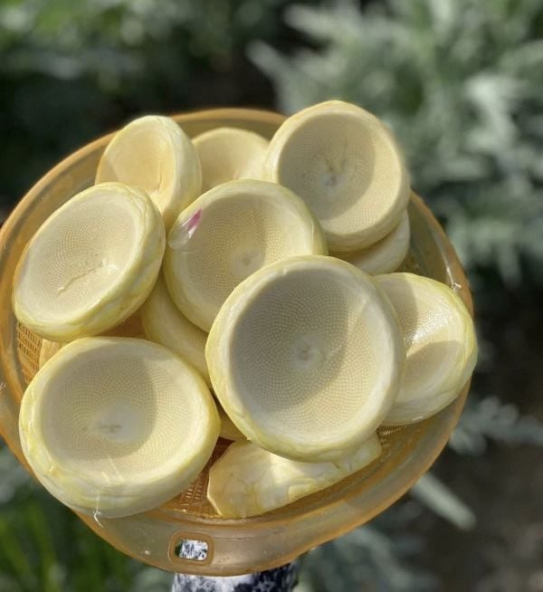 Taze Çanak Enginar ( Günlük soyum)