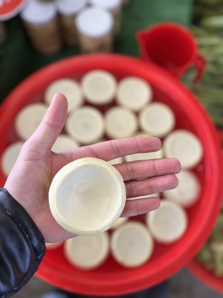 Taze Çanak Enginar ( Günlük soyum)