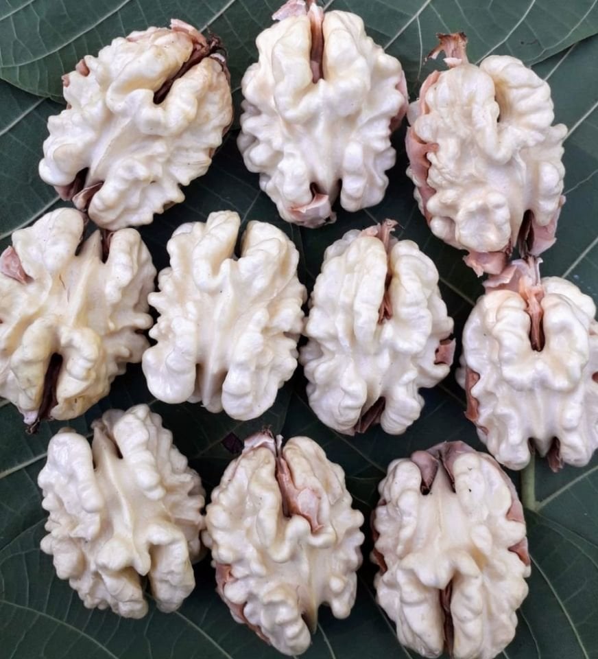 1 kg Taze Süt Ceviz