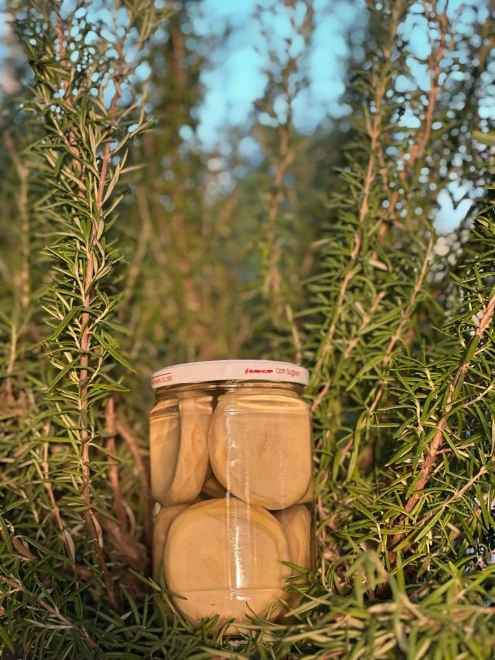 Konserve Çanak Enginar 660 cc (6 Adet)