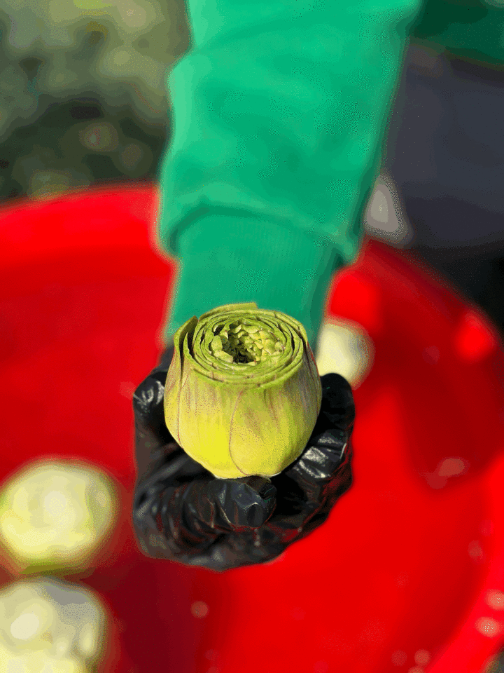 Taze ve Günlük Soyulmuş Bebek Enginar