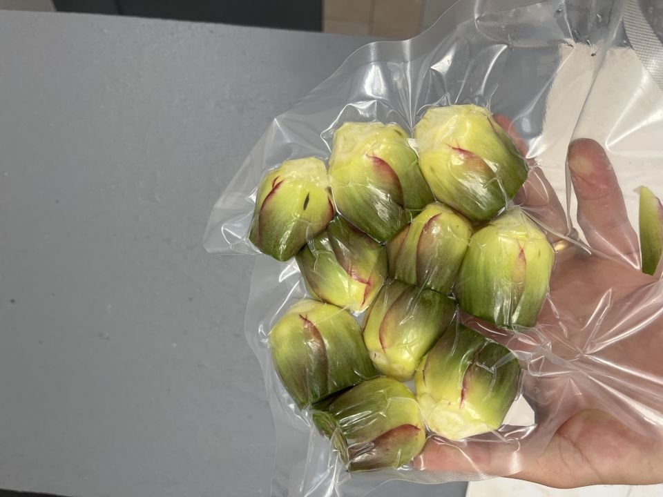 Yarma Bebek Enginar Vakumlu ( 10 Adet)