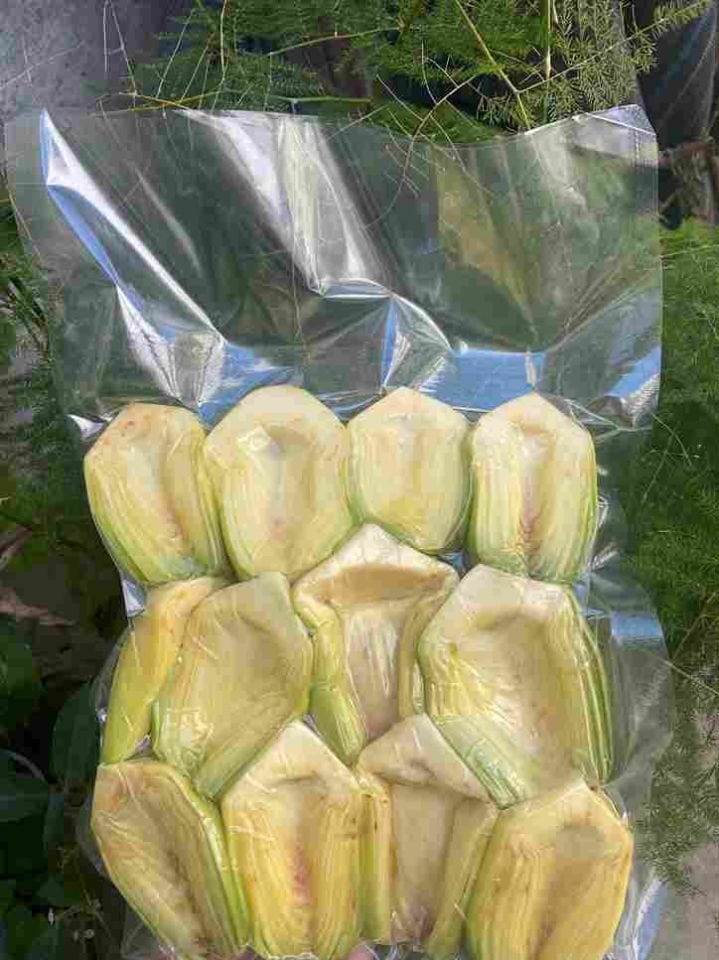 Yarma Bebek Enginar Vakumlu ( 10 Adet)