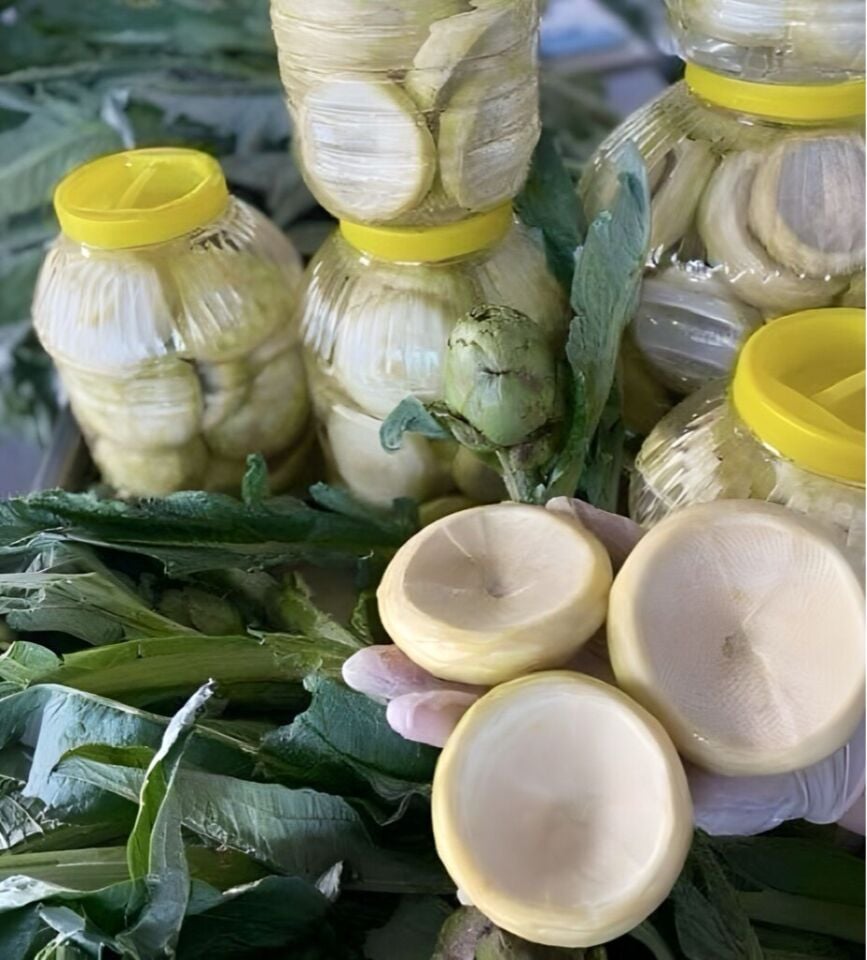 Taze Çanak Enginar – 30 Adet Günlük Soyum