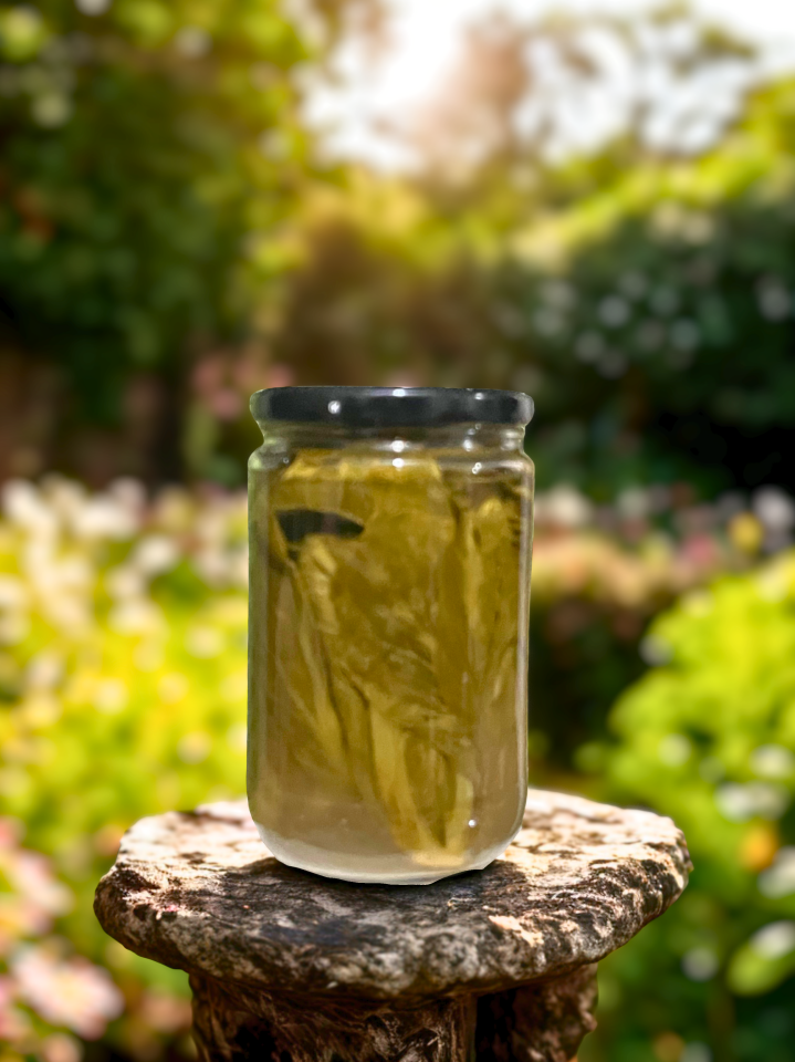 Taze Cibes Oto Konservesi 660cc