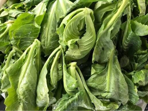 Taze Cibes Oto Konservesi 660cc