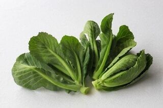 taze Cibes oto konservesi 660cc