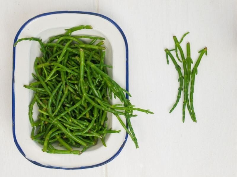 Taze deniz börülcesi konservesi 660 cc