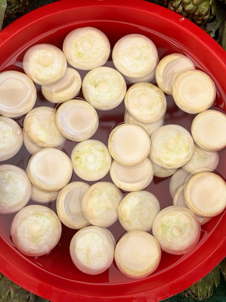 Mini Boy Çanak Enginar 25 Adet Sakız Cinsi