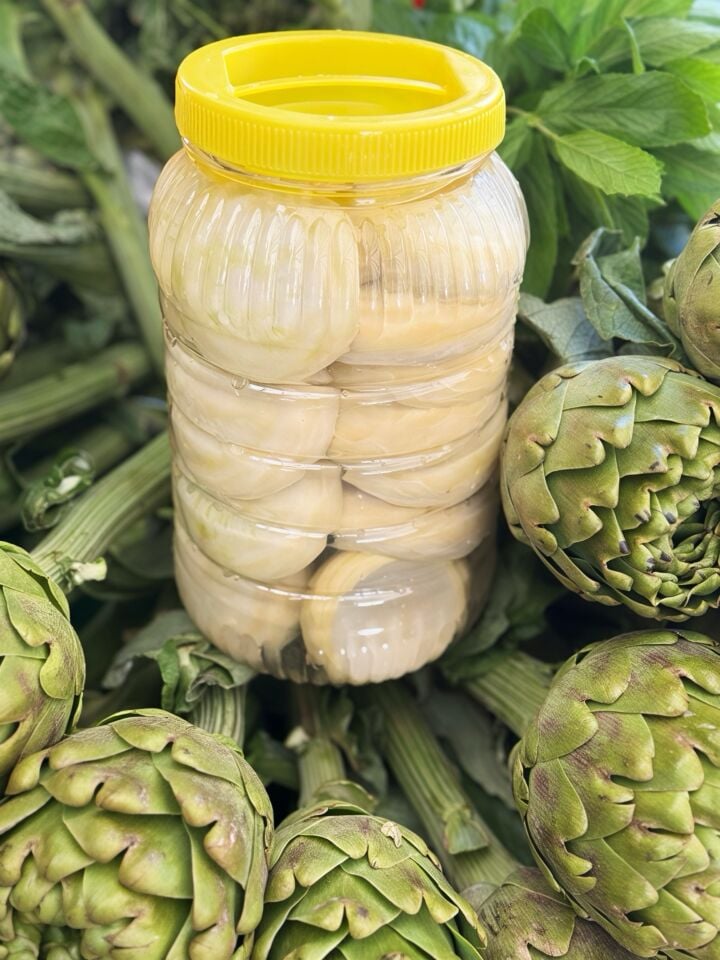 Mini Boy Çanak Enginar 25 Adet Sakız Cinsi