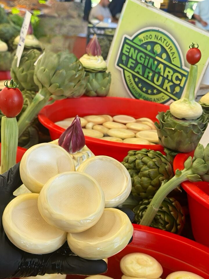 Mini Boy Çanak Enginar 25 Adet Sakız Cinsi