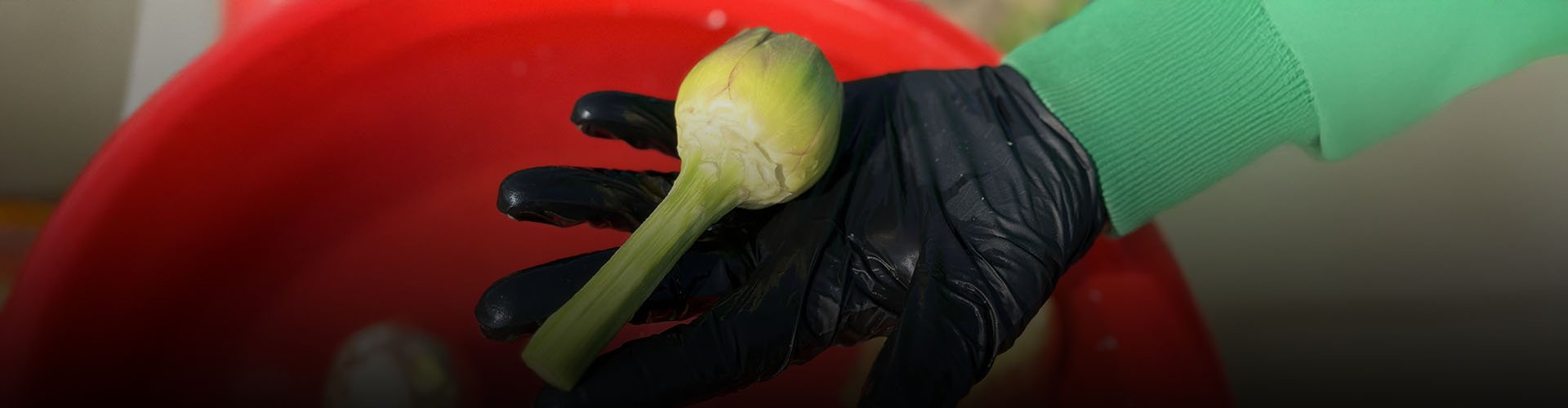 Taze Günlük Soyulmuş Kalp Enginar